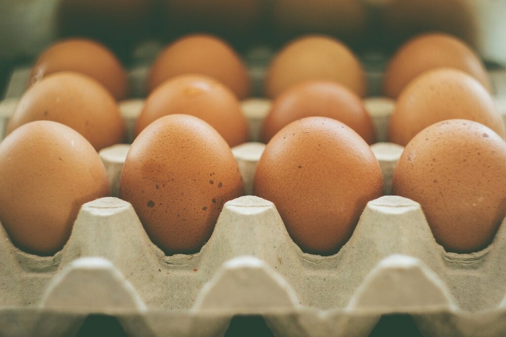 des œufs de poule