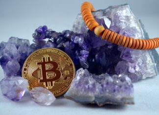 interet cryptomonnaie investisseur