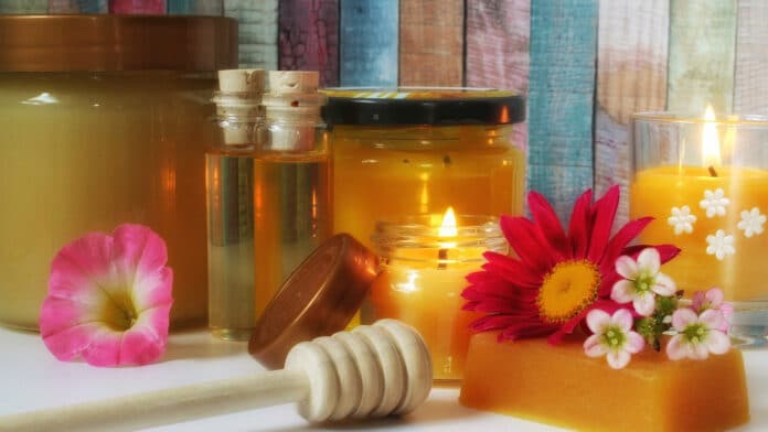 Apithérapie et propolis : un trésor de santé au cœur des ruches !